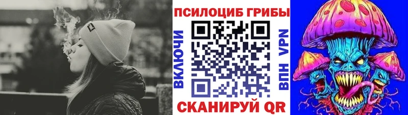 Псилоцибиновые грибы мицелий  купить   Перевоз 